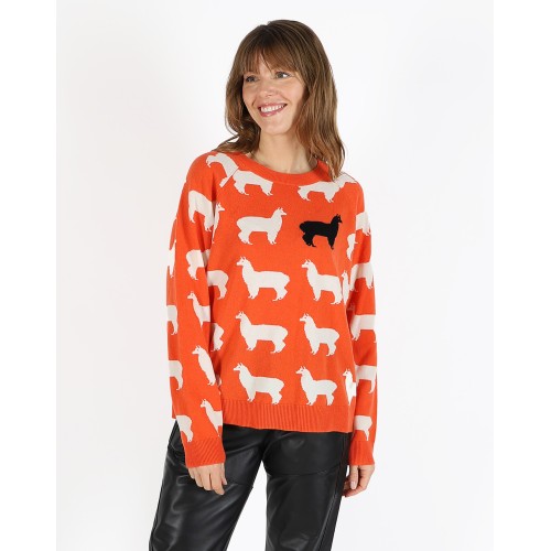 ROUND NECK INTARSIA LAMA