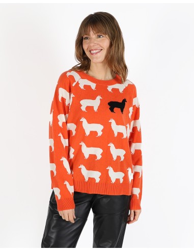 ROUND NECK INTARSIA LAMA